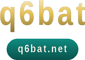 q6bat logo